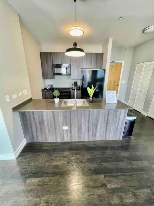 Penthouse In South Loop Chicago公寓 外观 照片